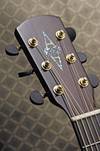 Alvarez Masterworks MD350